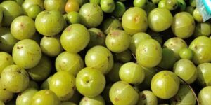 Are Gooseberries Native to Missouri?